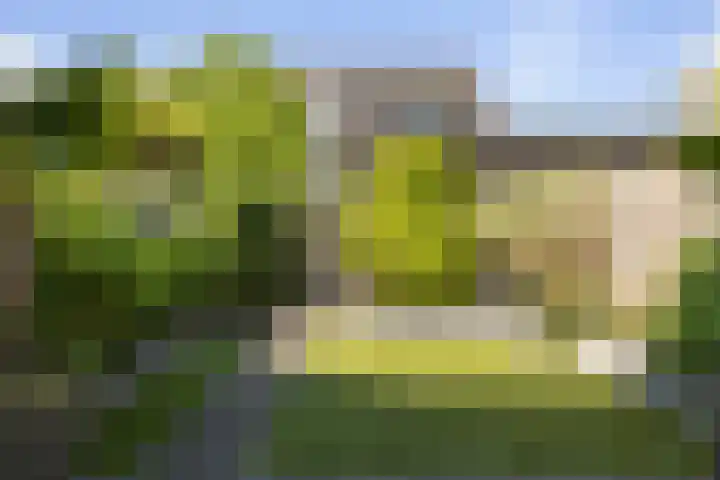 J.C. van Sleehof 3 Deventer thumbnail 23