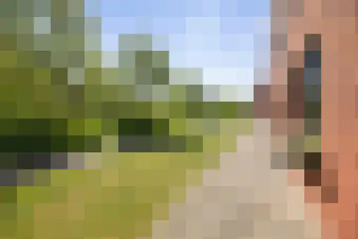 J.C. van Sleehof 3 Deventer thumbnail 27