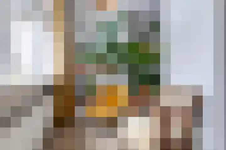 J.C. van Wessemstraat 34 Zaandam thumbnail 12