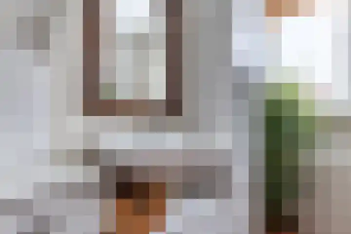 J.C. van Wessemstraat 34 Zaandam thumbnail 22