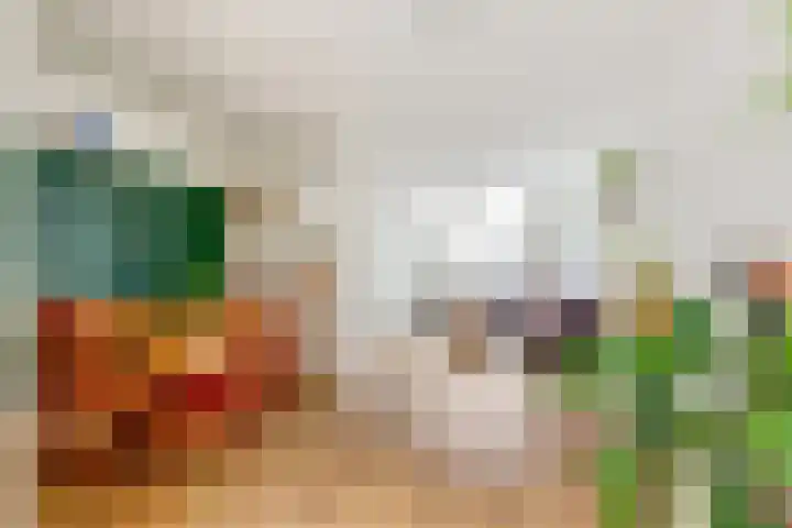 J.C. van Wessemstraat 51 Zaandam thumbnail 8