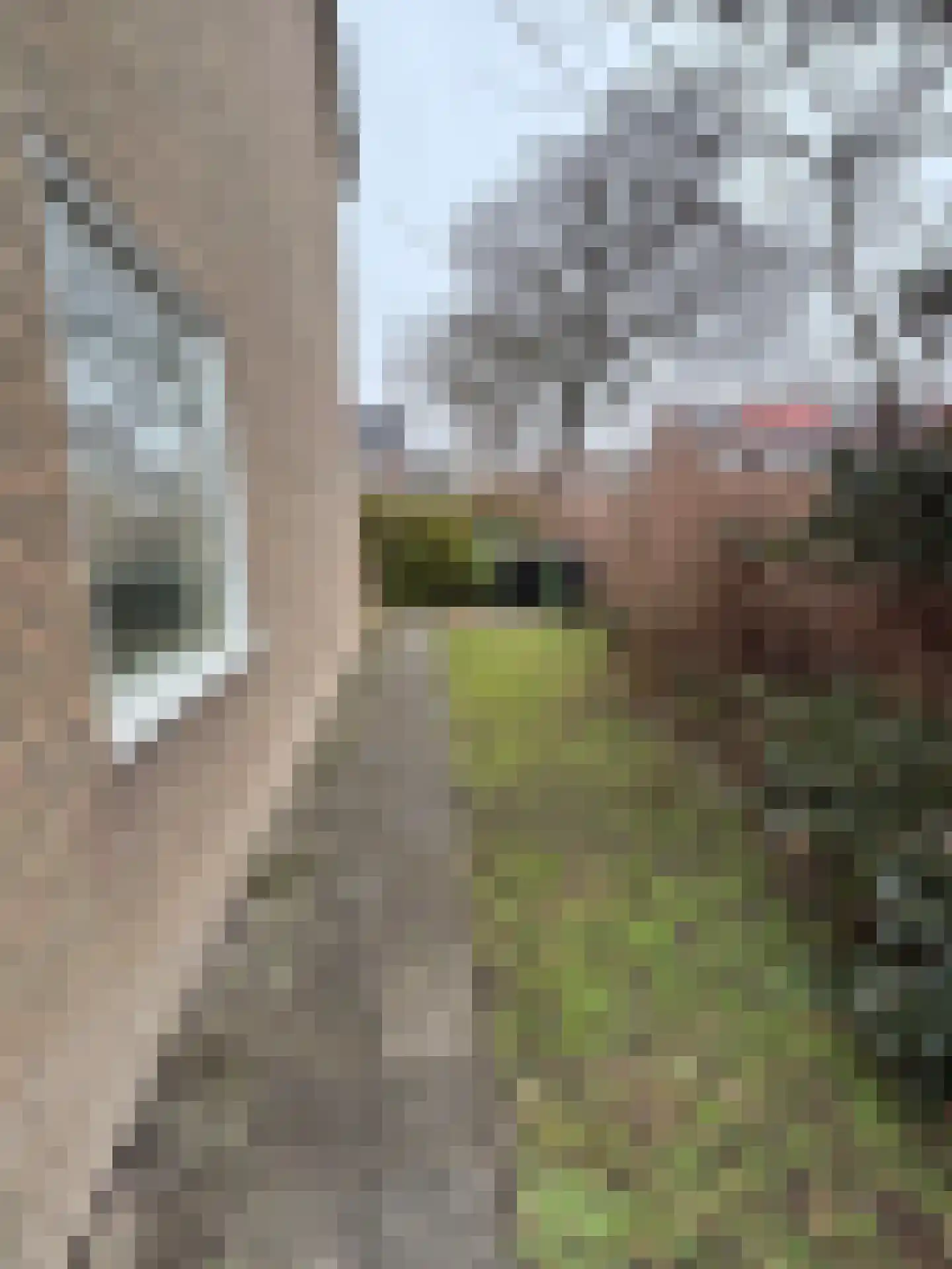 J. C. van Wijkstraat 26 Anna Paulowna thumbnail 22