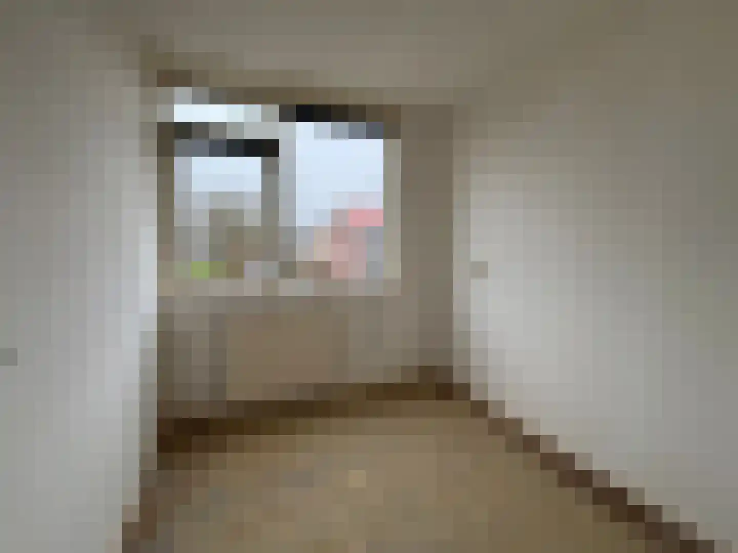 J. C. van Wijkstraat 26 Anna Paulowna thumbnail 31
