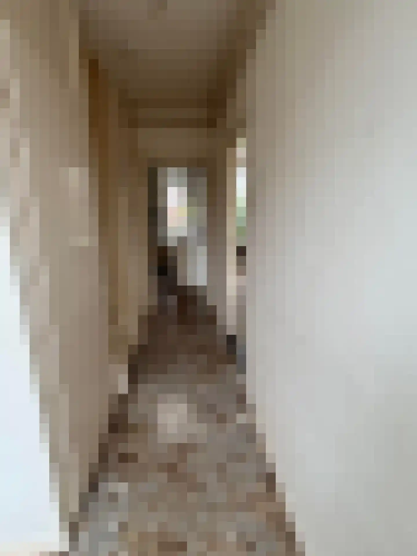 J. C. van Wijkstraat 26 Anna Paulowna thumbnail 5