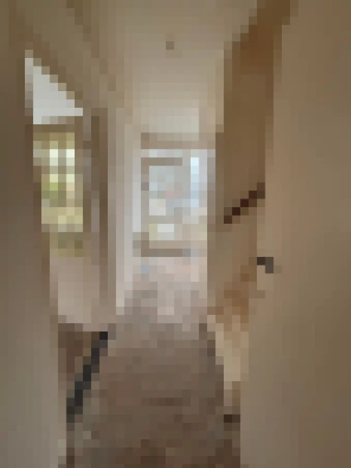 J. C. van Wijkstraat 26 Anna Paulowna thumbnail 6