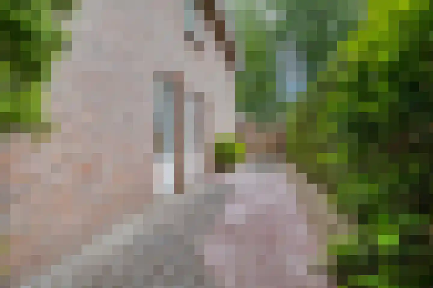 J.C. Wilslaan 14 Apeldoorn thumbnail 68