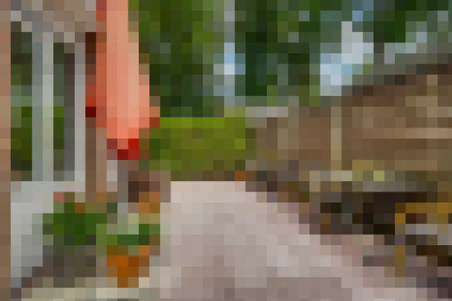 J.C. Wilslaan 14 Apeldoorn thumbnail 70