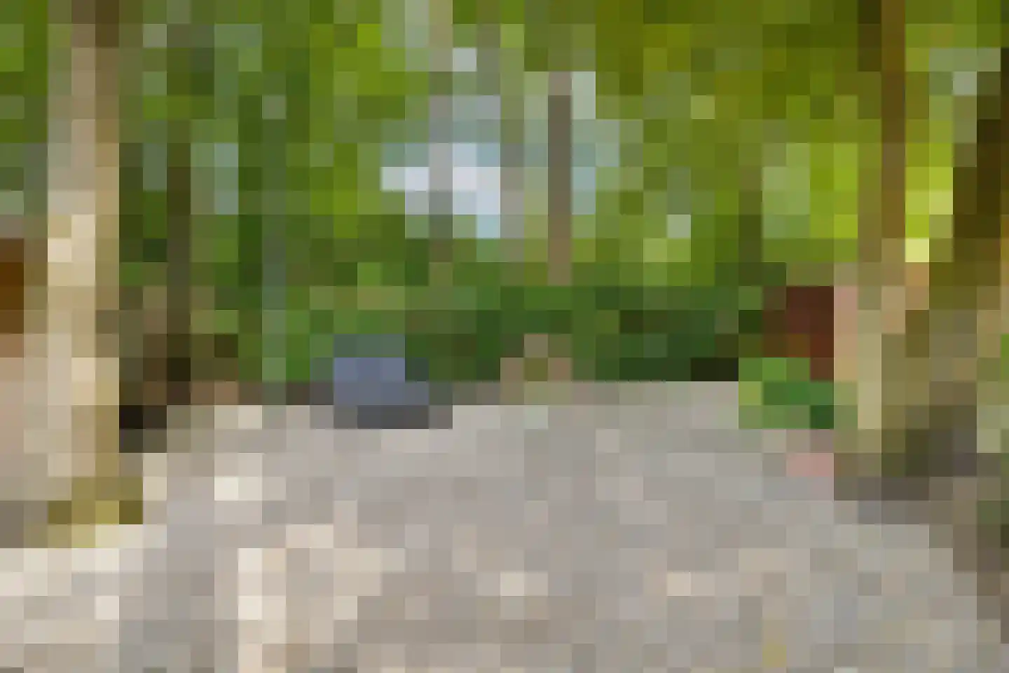 J.C. Wilslaan 14 Apeldoorn thumbnail 75