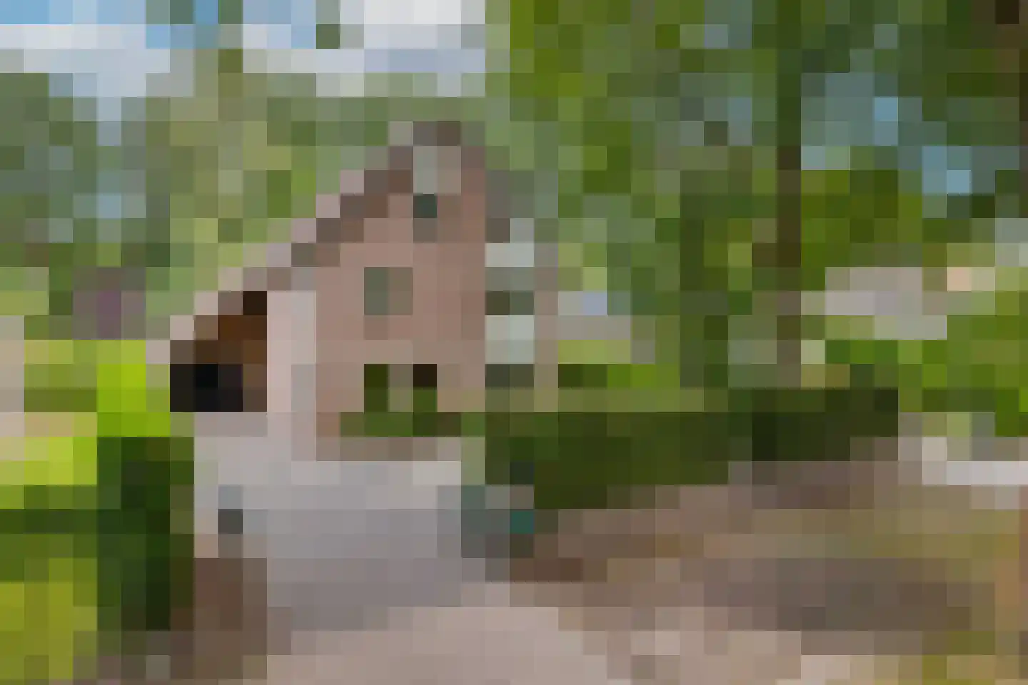 J.C. Wilslaan 14 Apeldoorn thumbnail 79