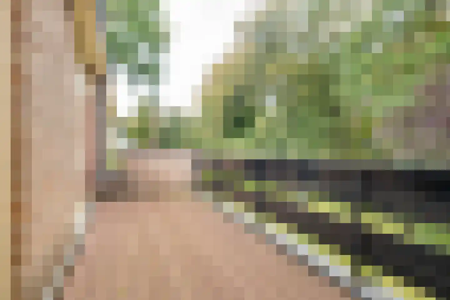 J.C. Wilslaan 3 A Apeldoorn thumbnail 28