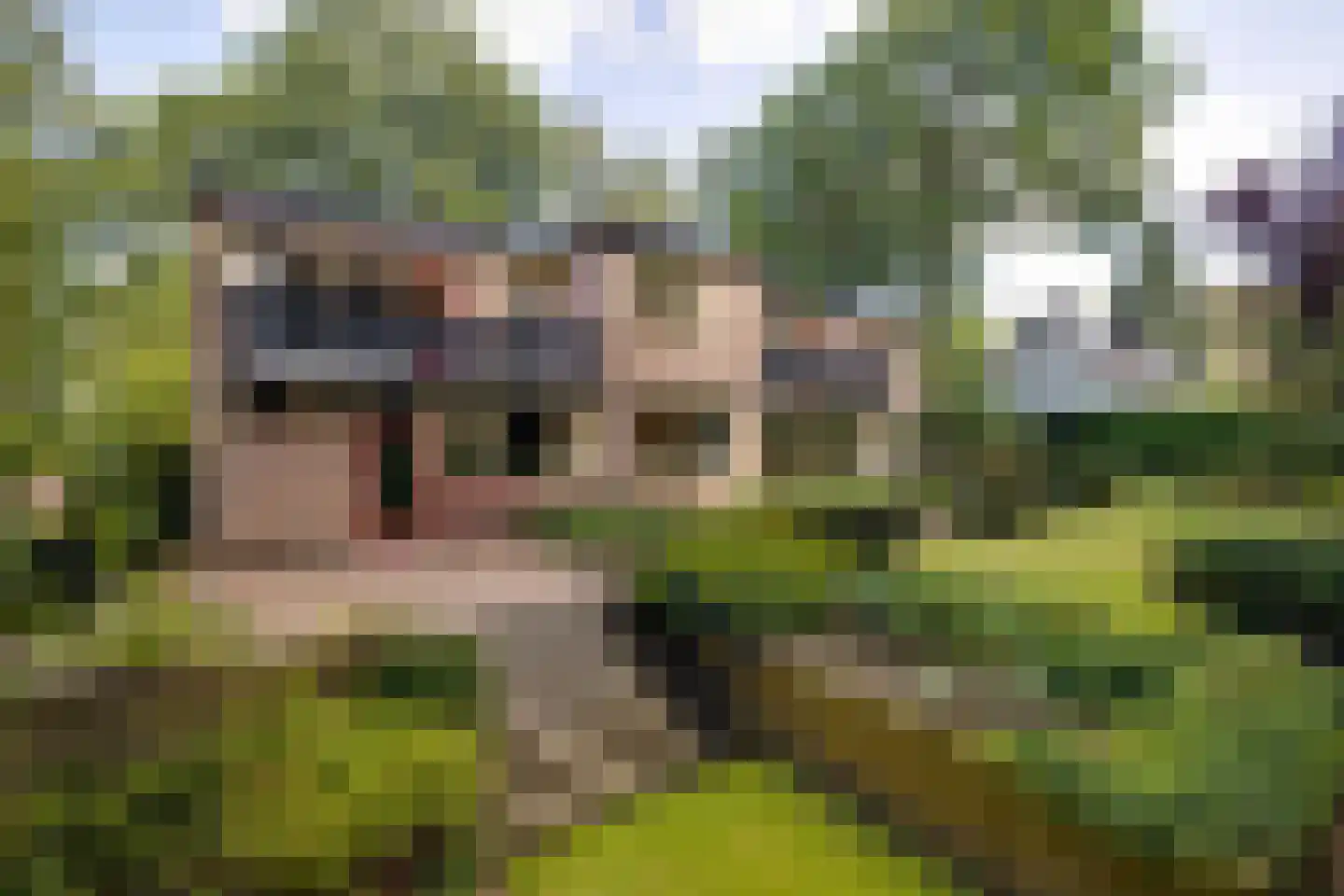 J.C. Wilslaan 3 A Apeldoorn thumbnail 51