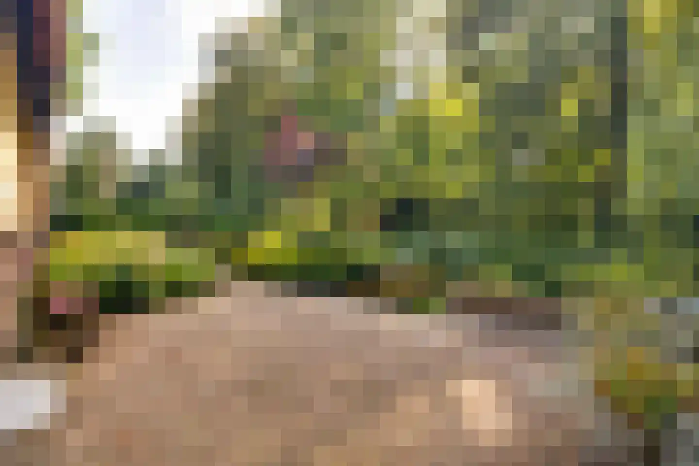 J.C. Wilslaan 3 A Apeldoorn thumbnail 52
