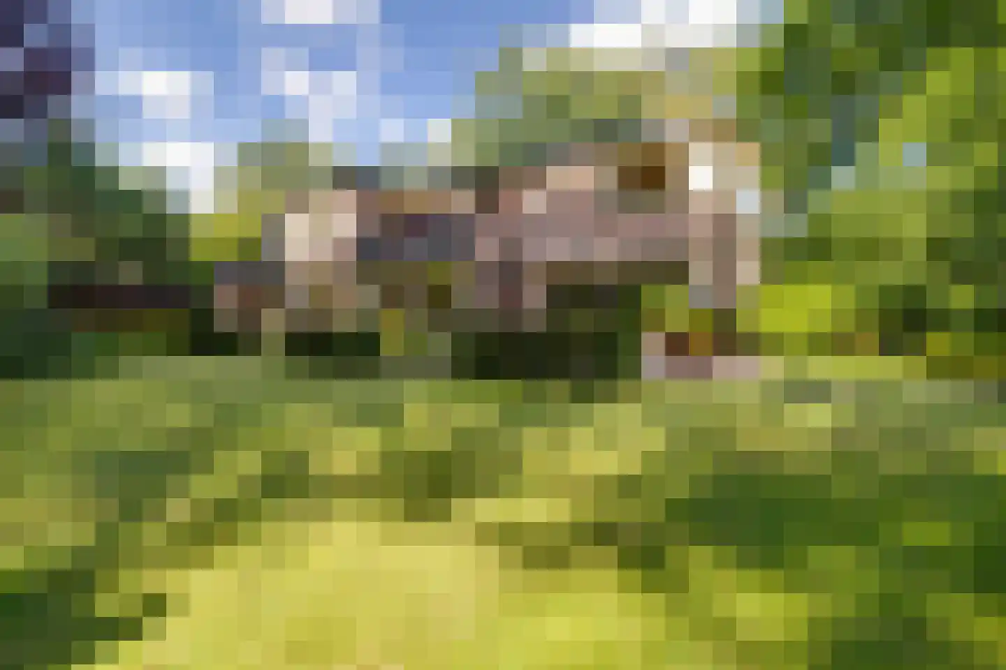 J.C. Wilslaan 3 A Apeldoorn thumbnail 58
