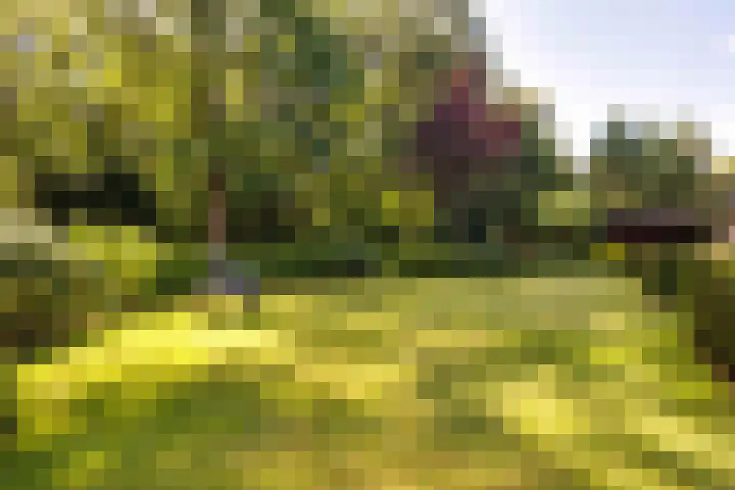 J.C. Wilslaan 3 A Apeldoorn thumbnail 59