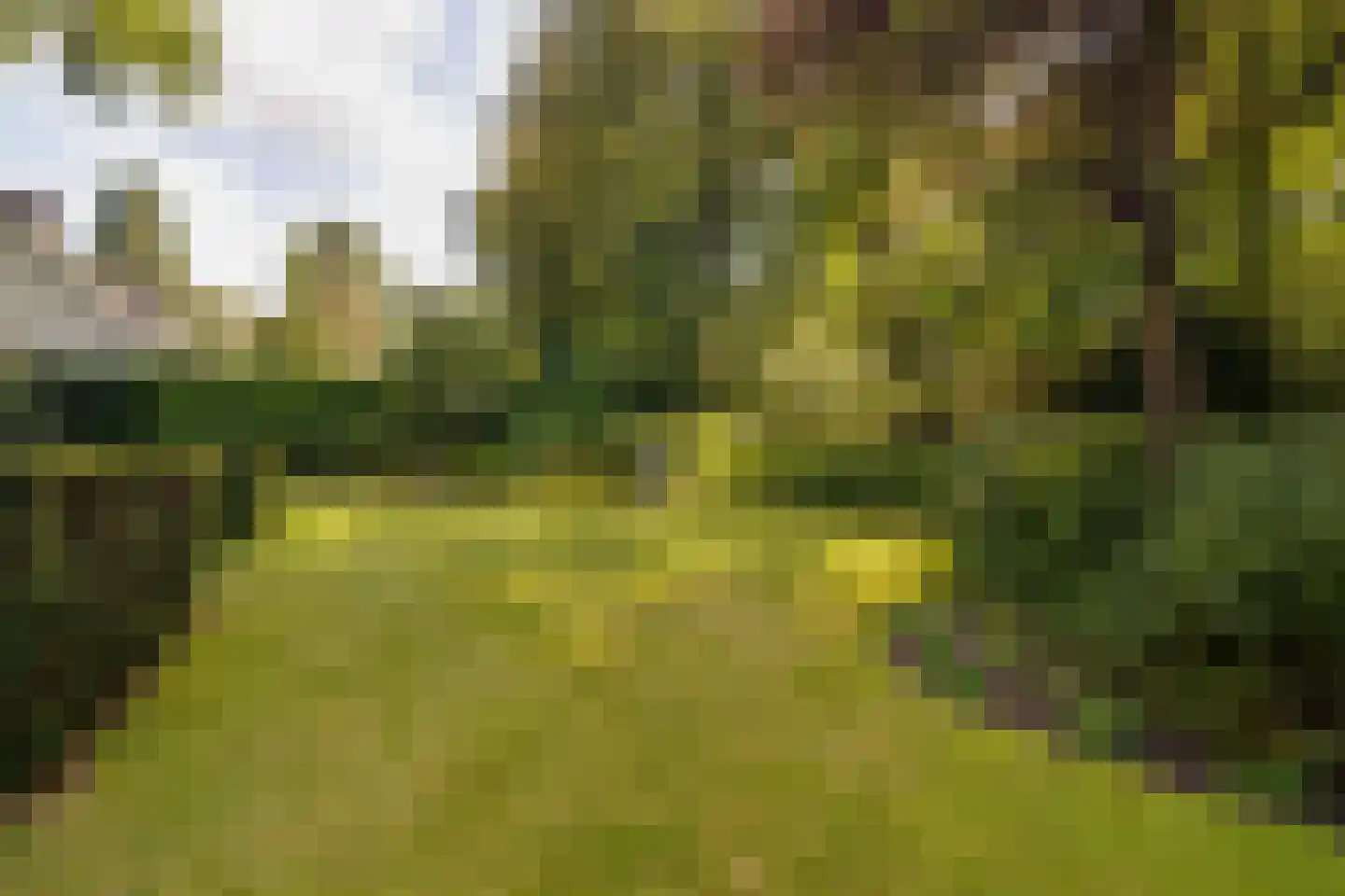J.C. Wilslaan 3 A Apeldoorn thumbnail 60