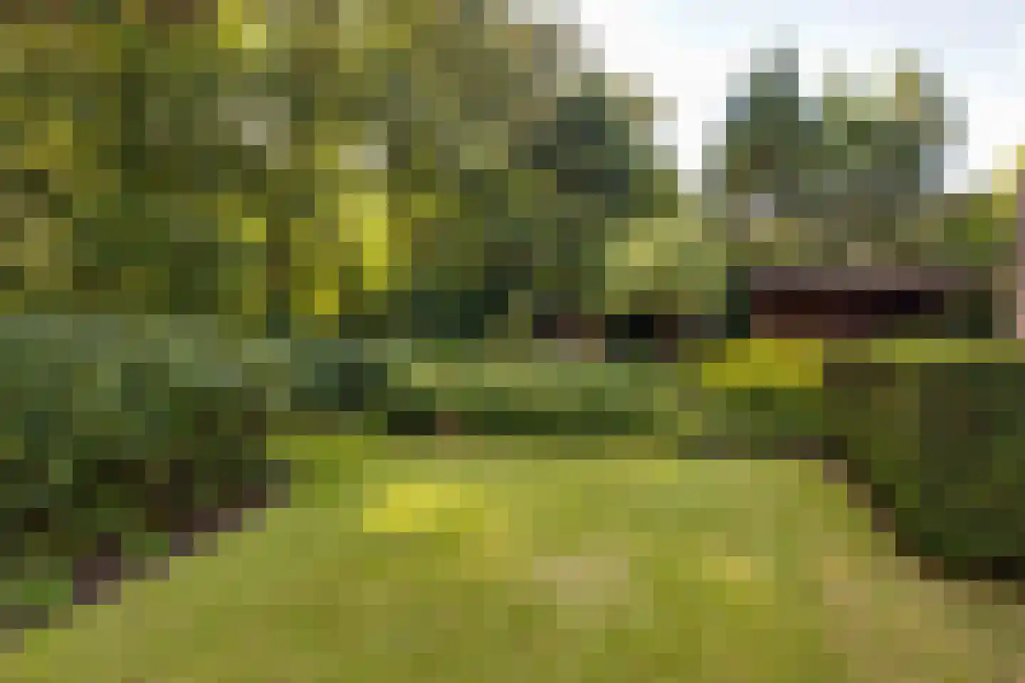 J.C. Wilslaan 3 A Apeldoorn thumbnail 61