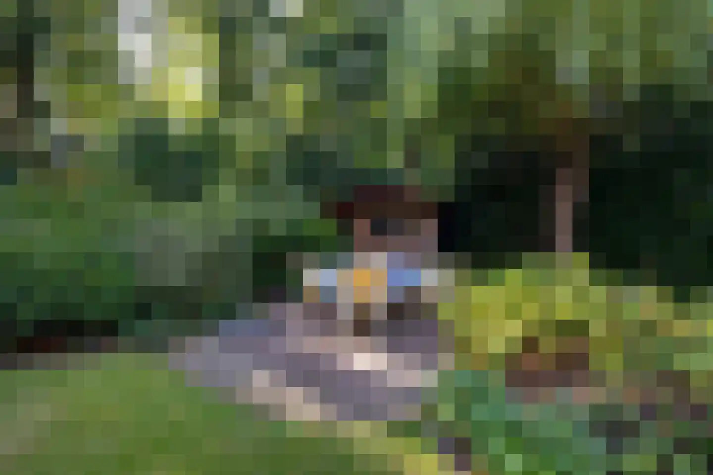 J.C. Wilslaan 3 A Apeldoorn thumbnail 62