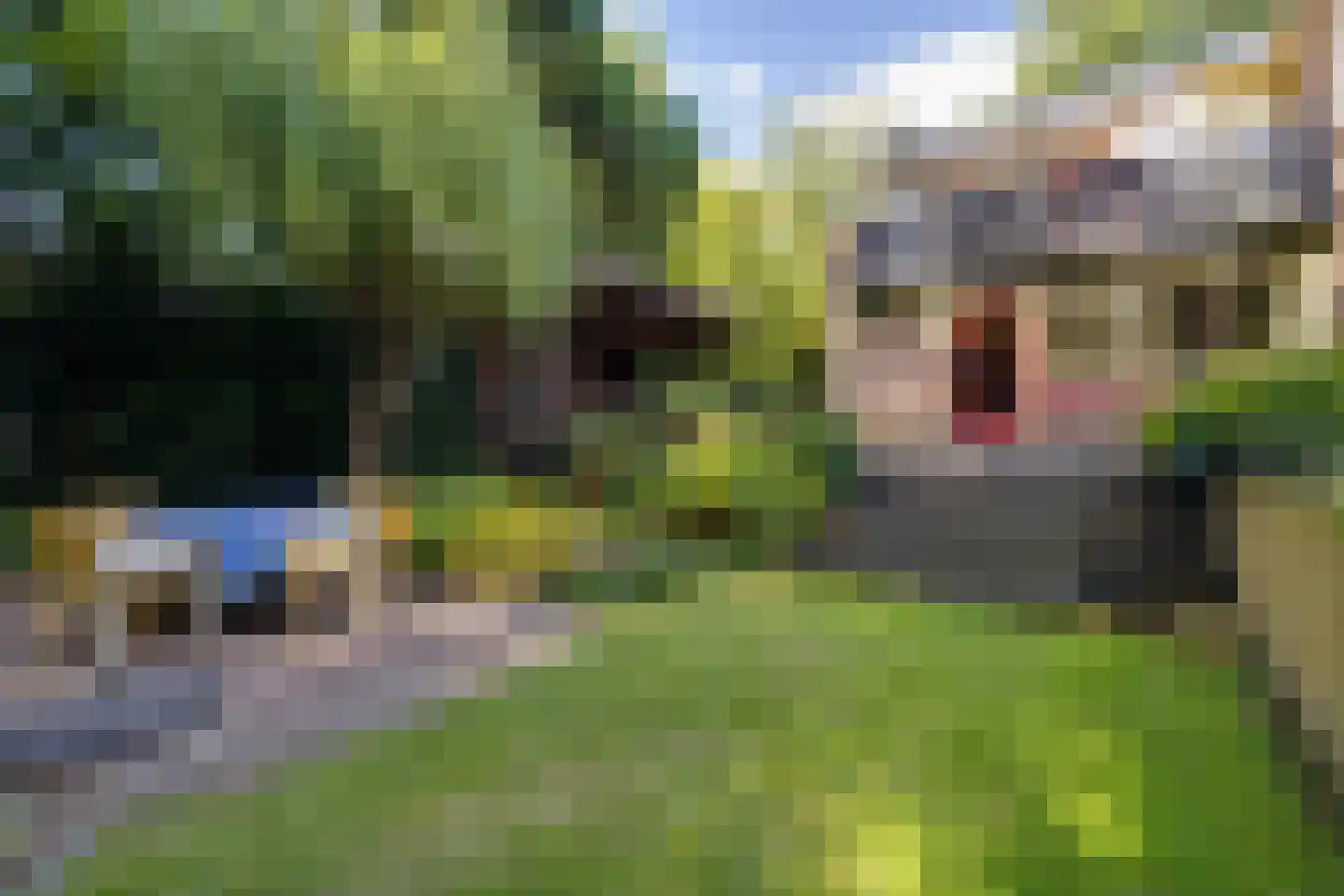 J.C. Wilslaan 3 A Apeldoorn thumbnail 63