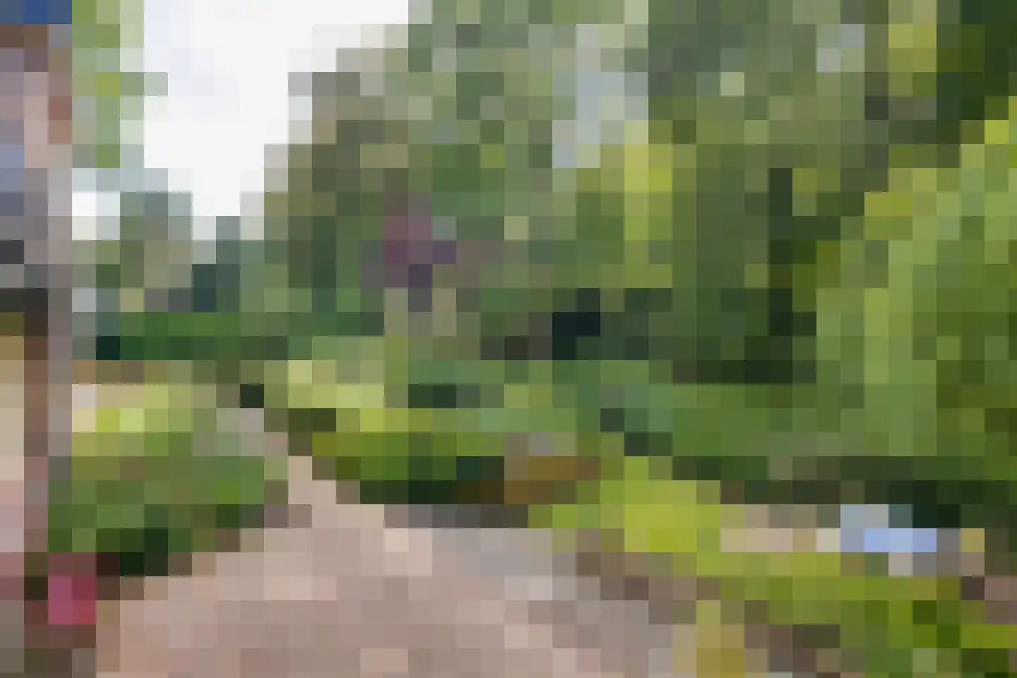 J.C. Wilslaan 3 A Apeldoorn thumbnail 64
