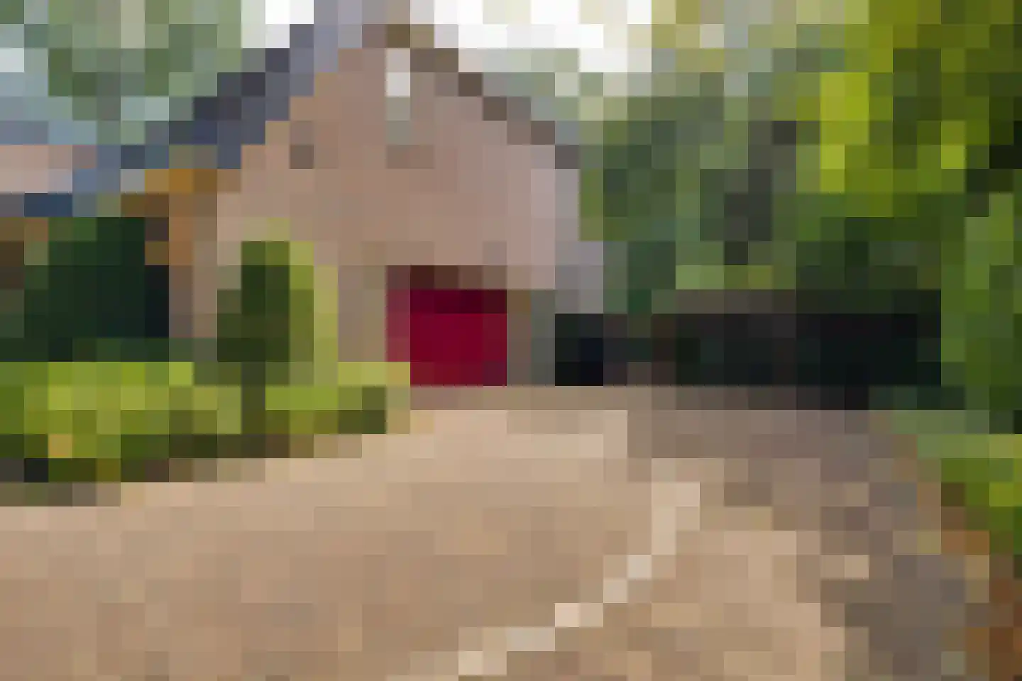 J.C. Wilslaan 3 A Apeldoorn thumbnail 66