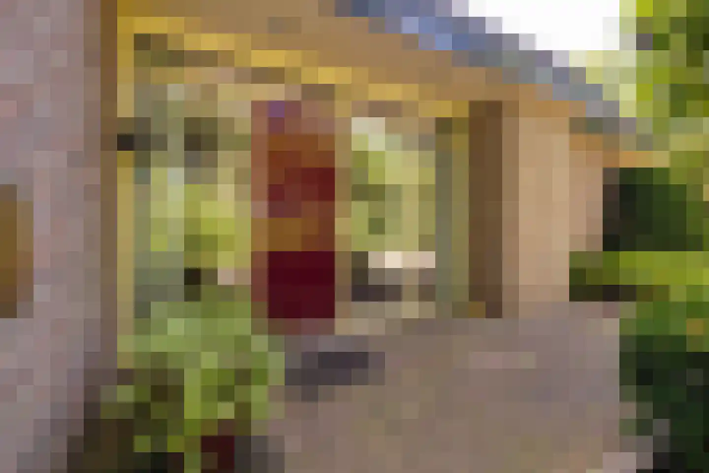 J.C. Wilslaan 3 A Apeldoorn thumbnail 68