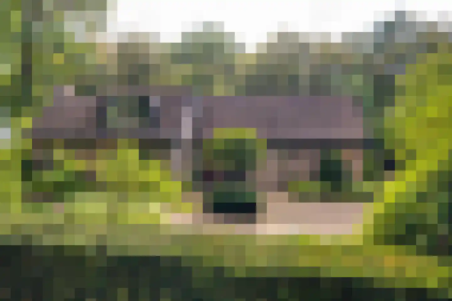 J.C. Wilslaan 3 A Apeldoorn thumbnail 69
