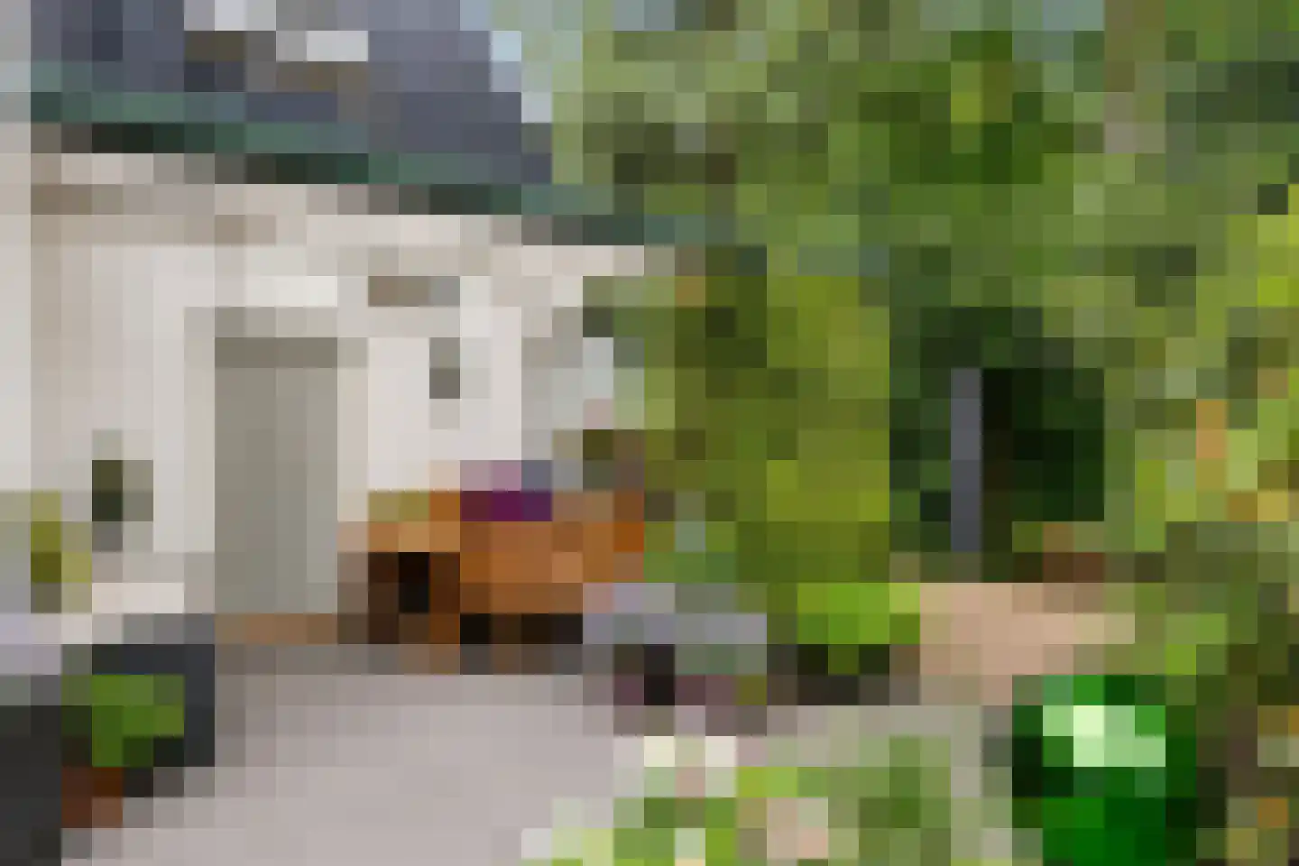 J.C. Wilslaan 9 Apeldoorn thumbnail 37