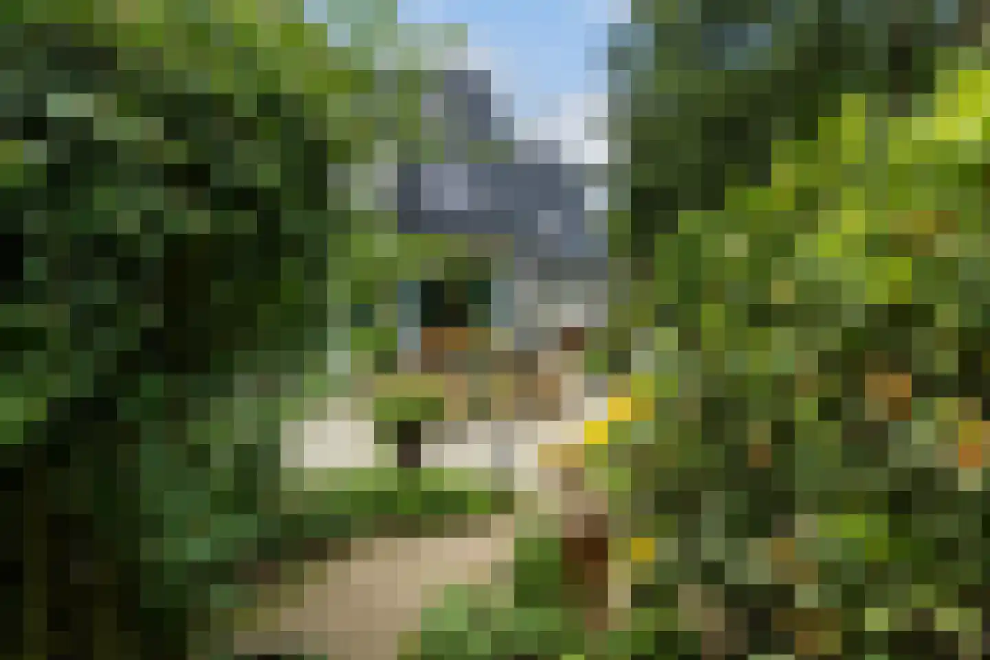 J.C. Wilslaan 9 Apeldoorn thumbnail 39
