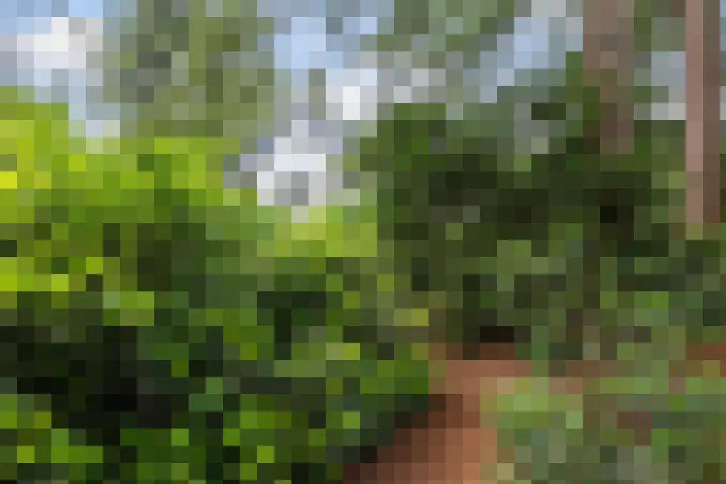 J.C. Wilslaan 9 Apeldoorn thumbnail 41