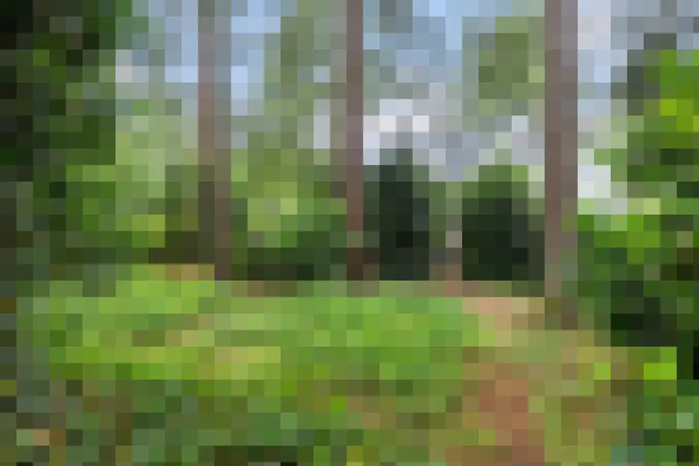 J.C. Wilslaan 9 Apeldoorn thumbnail 44
