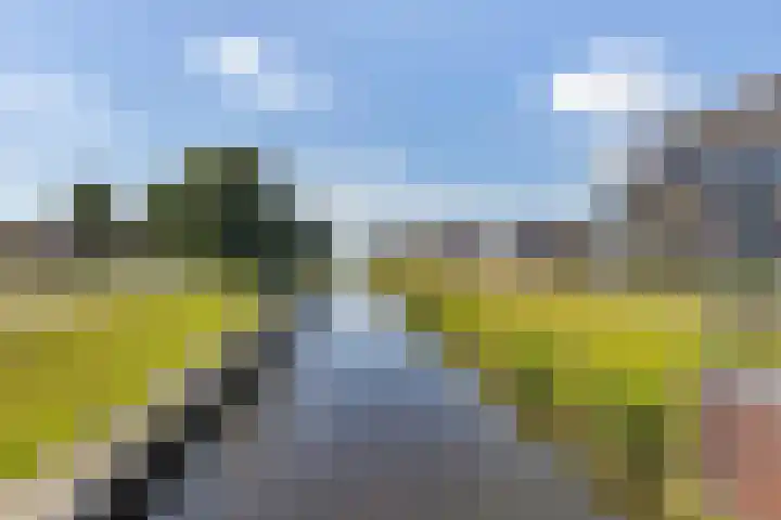 J. Cohenstraat 11 B Uithuizen thumbnail 8