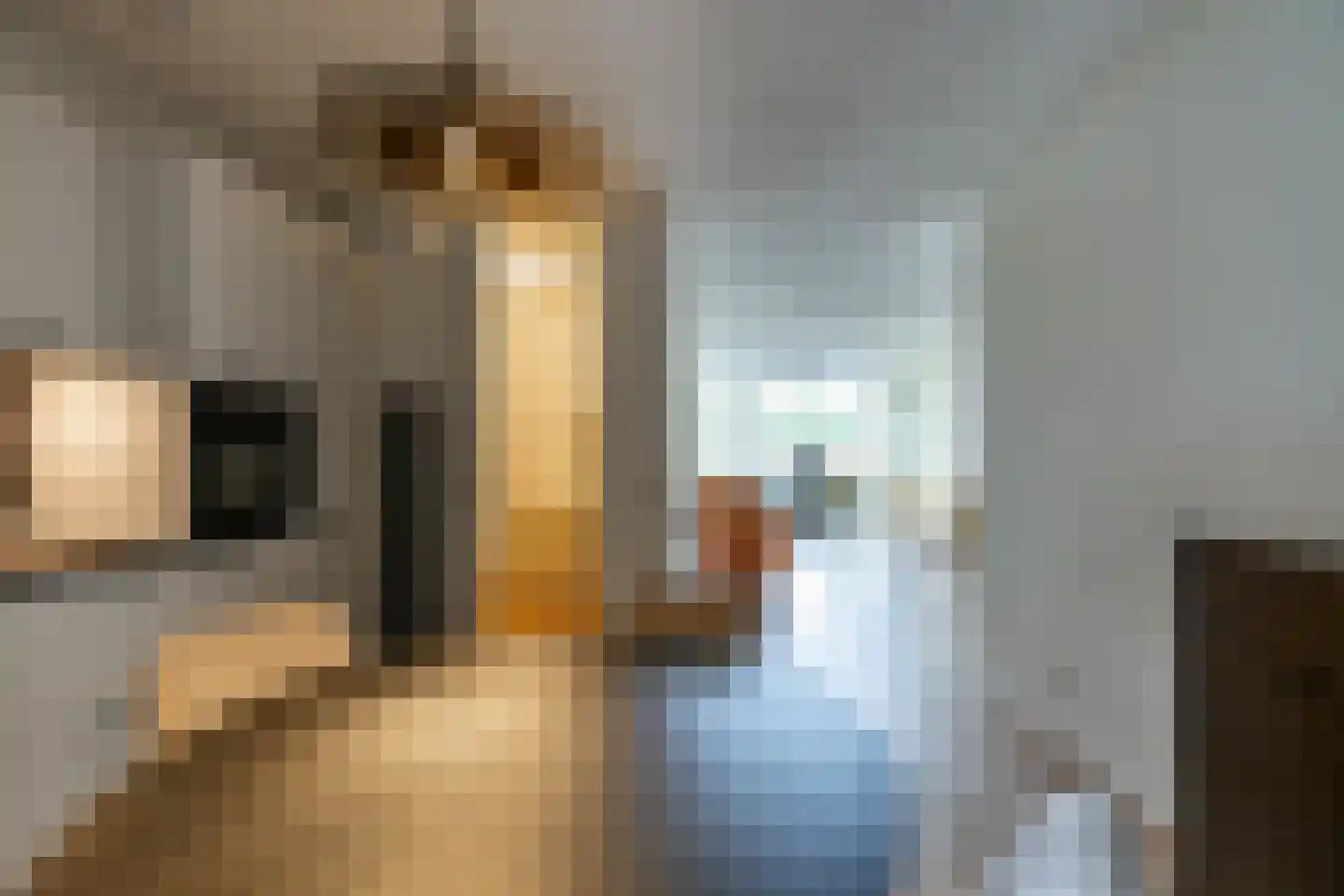 J. Cohenstraat 9 Uithuizen thumbnail 21