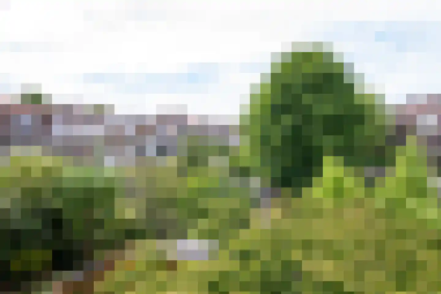 J. Craandijkstraat 26 Haarlem thumbnail 37