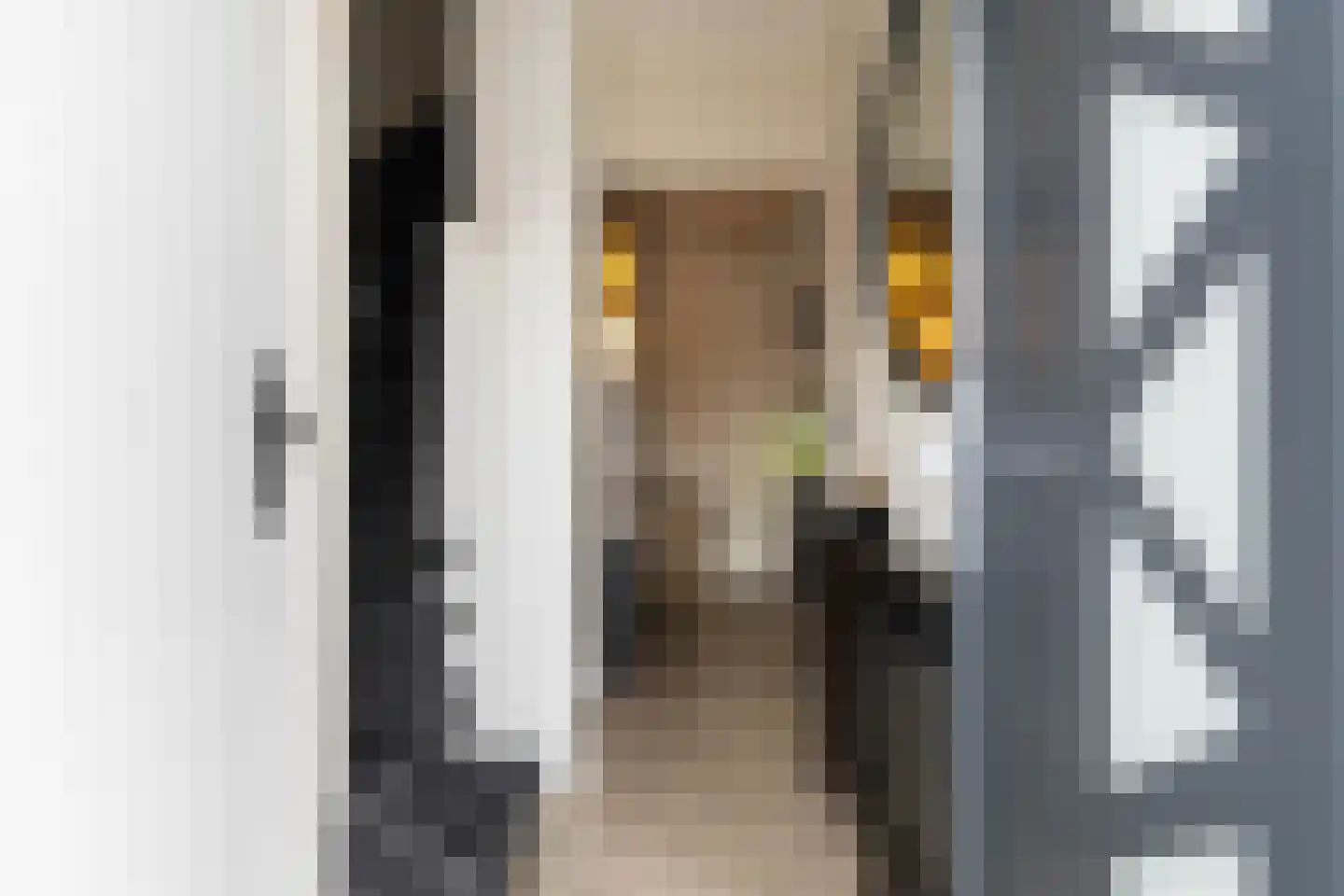 J.D. van der Waalsstraat 23 Eerbeek thumbnail 10