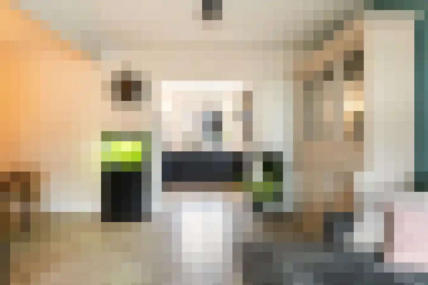 J.D. van der Waalsstraat 23 Eerbeek thumbnail 18