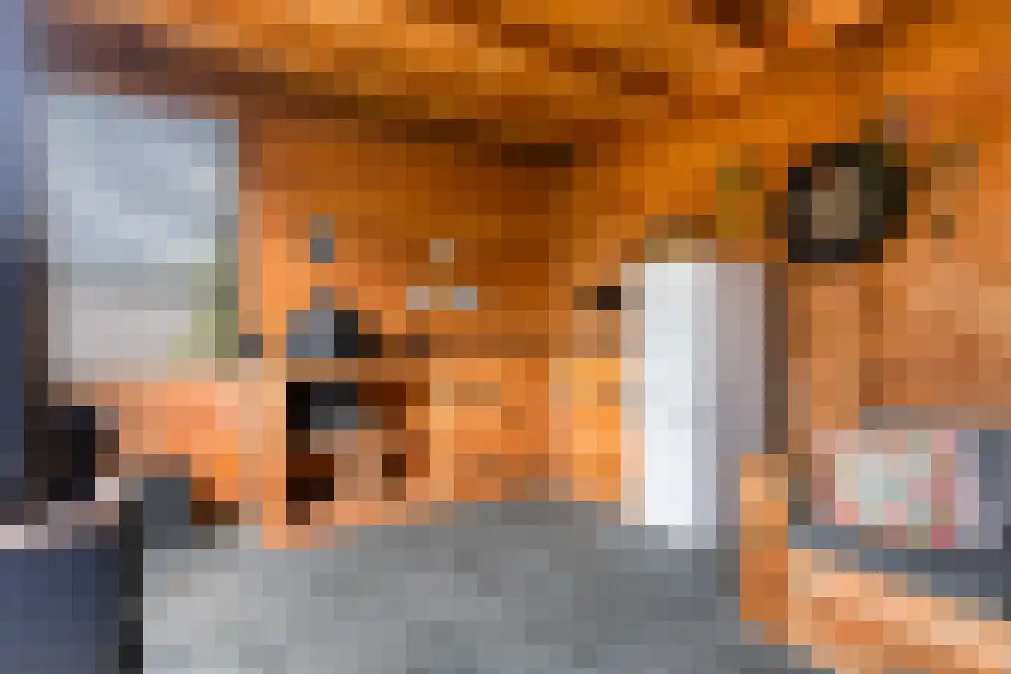 J.D. van der Waalsstraat 23 Eerbeek thumbnail 26