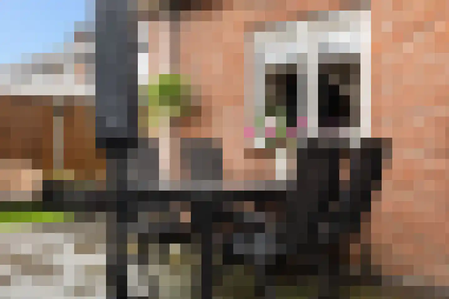 J.D. van der Waalsstraat 23 Eerbeek thumbnail 29