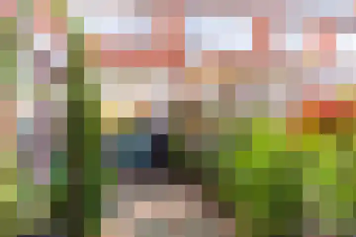 J.D. van der Waalsstraat 29 Eerbeek thumbnail 6