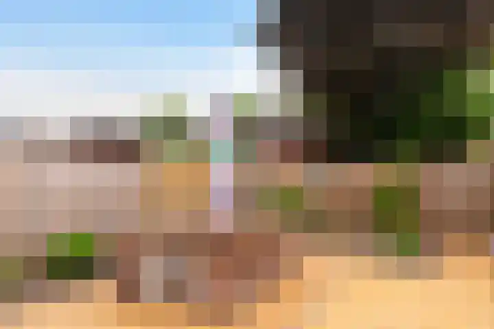 J.D. van der Waalsstraat 51 Eerbeek thumbnail 25