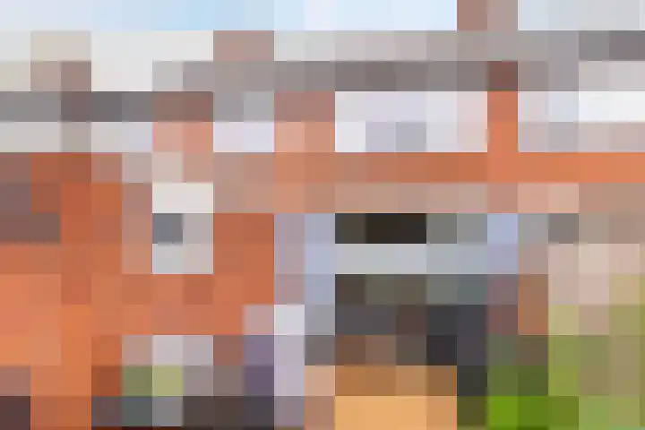 J.D. van der Waalsstraat 51 Eerbeek thumbnail 27