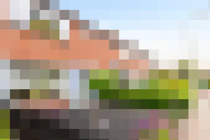 J.D. van der Waalsstraat 51 Eerbeek thumbnail 29