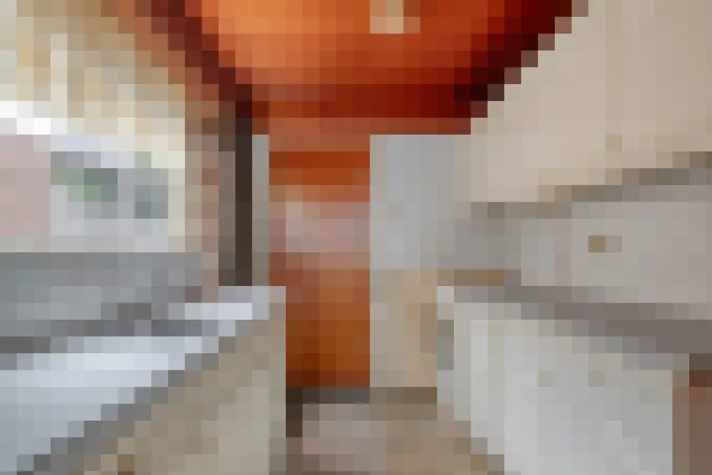 J.D. van Leeuwenstraat 20 Tiel thumbnail 10