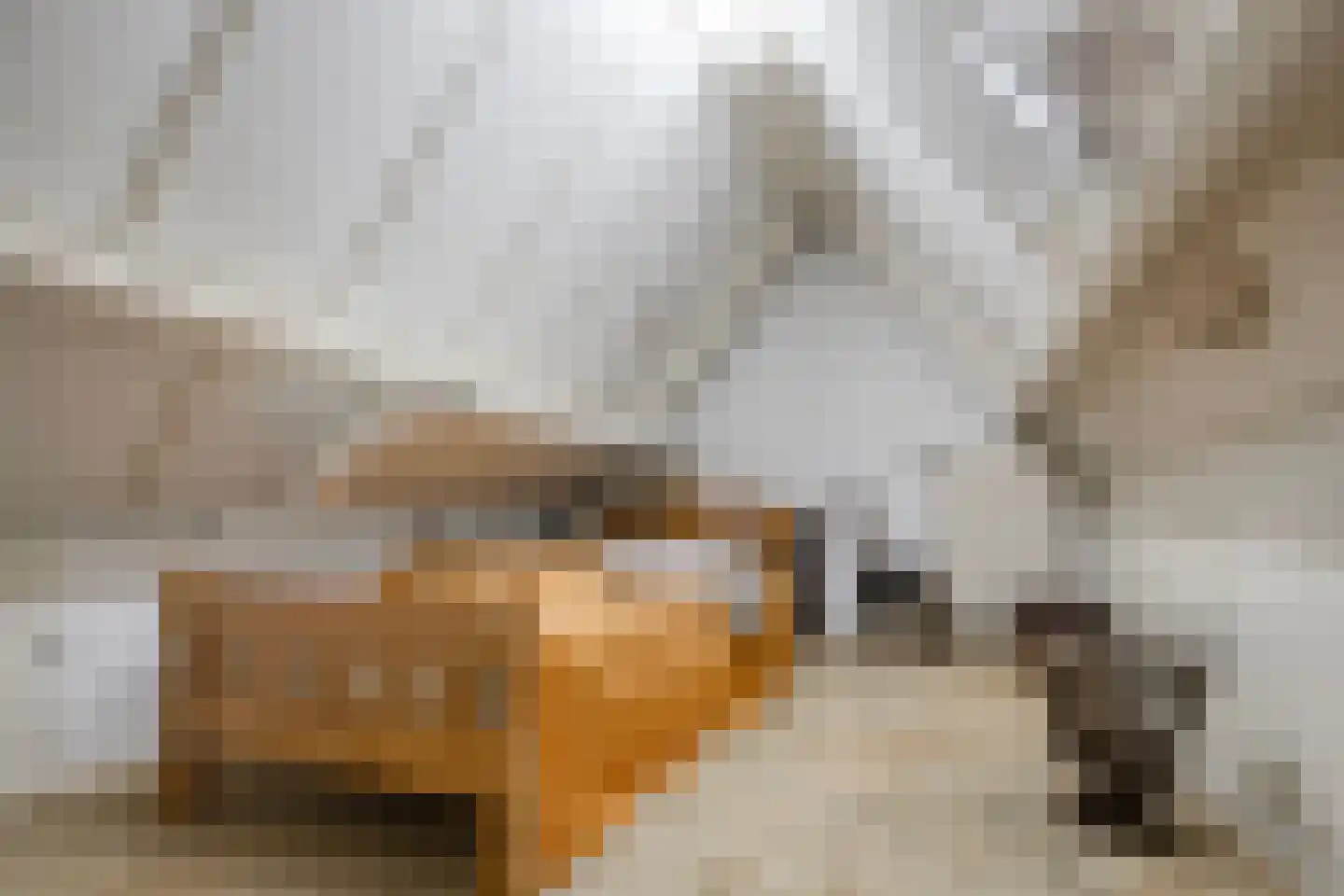 J.D. van Leeuwenstraat 20 Tiel thumbnail 20