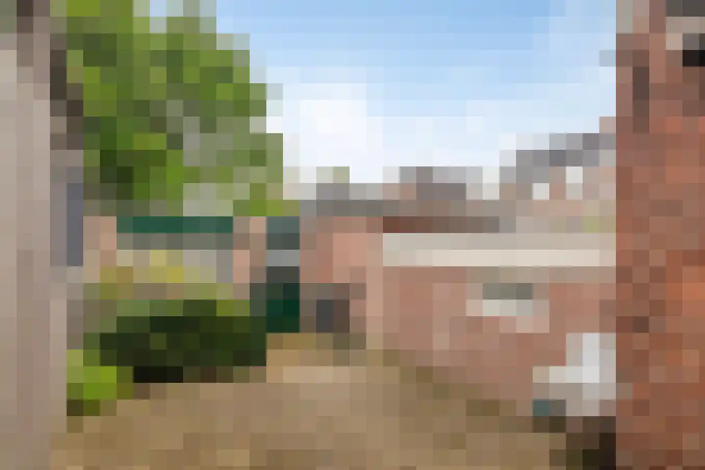 J.D. van Leeuwenstraat 20 Tiel thumbnail 21
