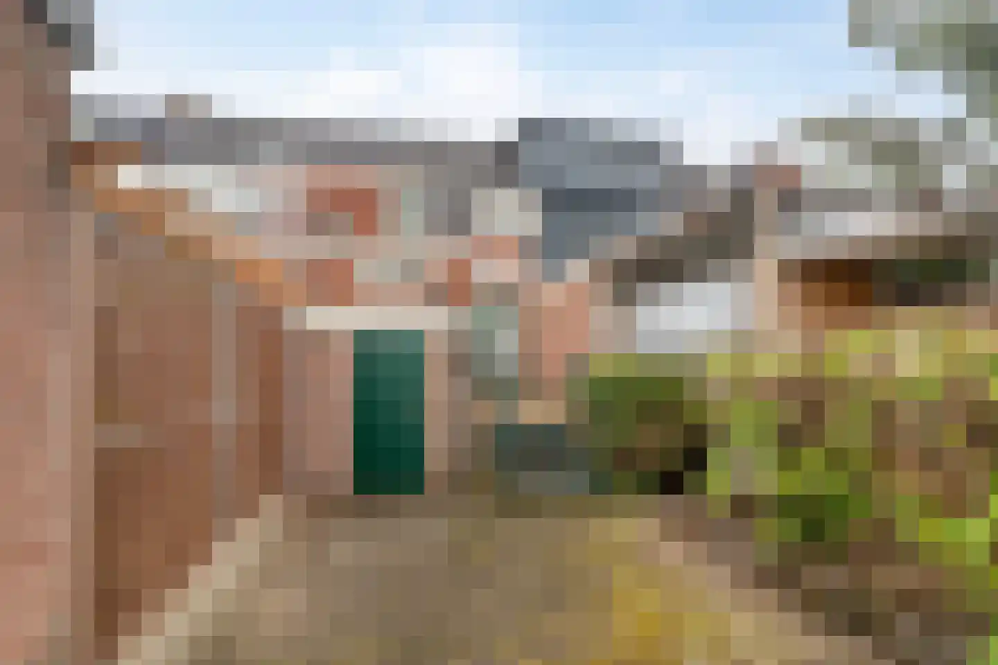 J.D. van Leeuwenstraat 20 Tiel thumbnail 23