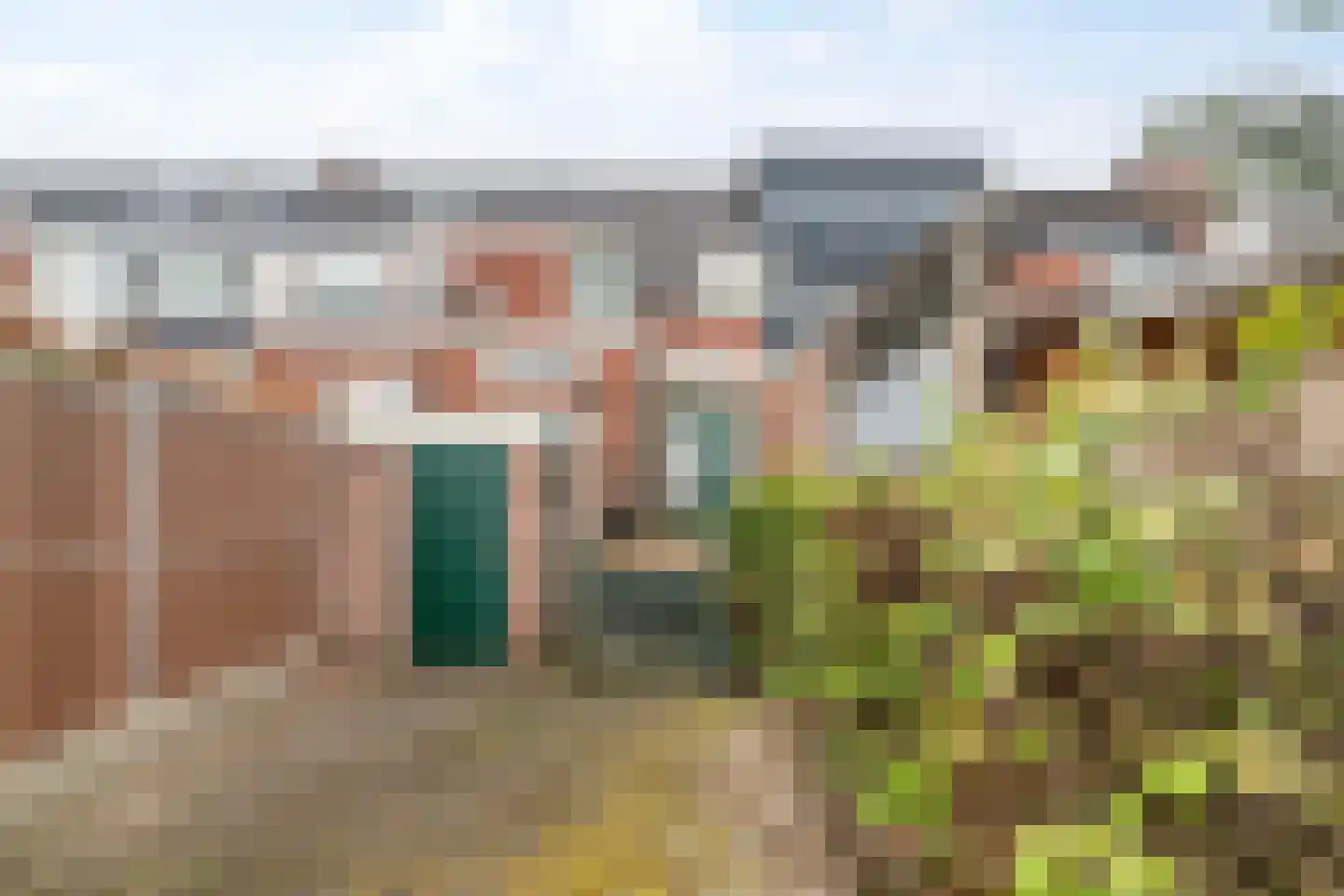 J.D. van Leeuwenstraat 20 Tiel thumbnail 24