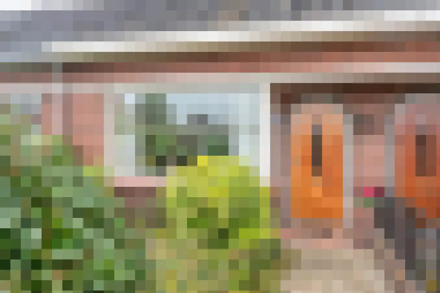 J.D. van Leeuwenstraat 20 Tiel thumbnail 4