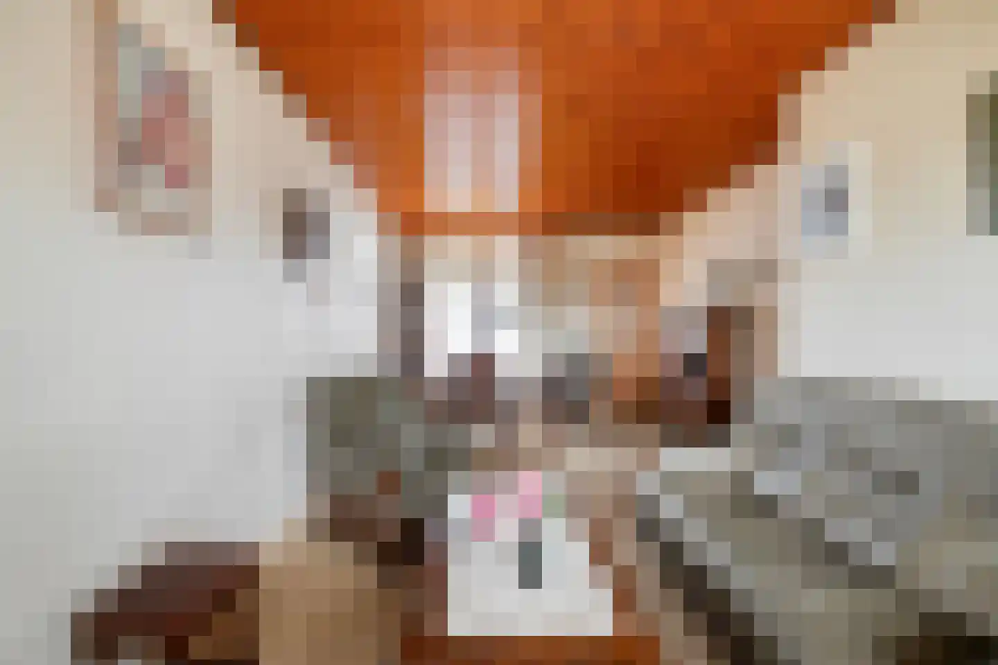 J.D. van Leeuwenstraat 20 Tiel thumbnail 6