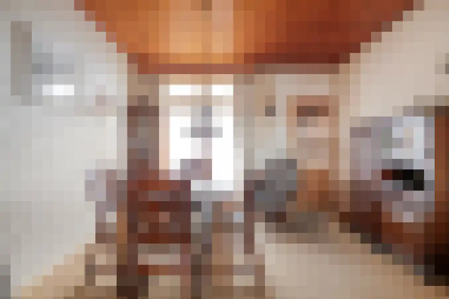 J.D. van Leeuwenstraat 20 Tiel thumbnail 7