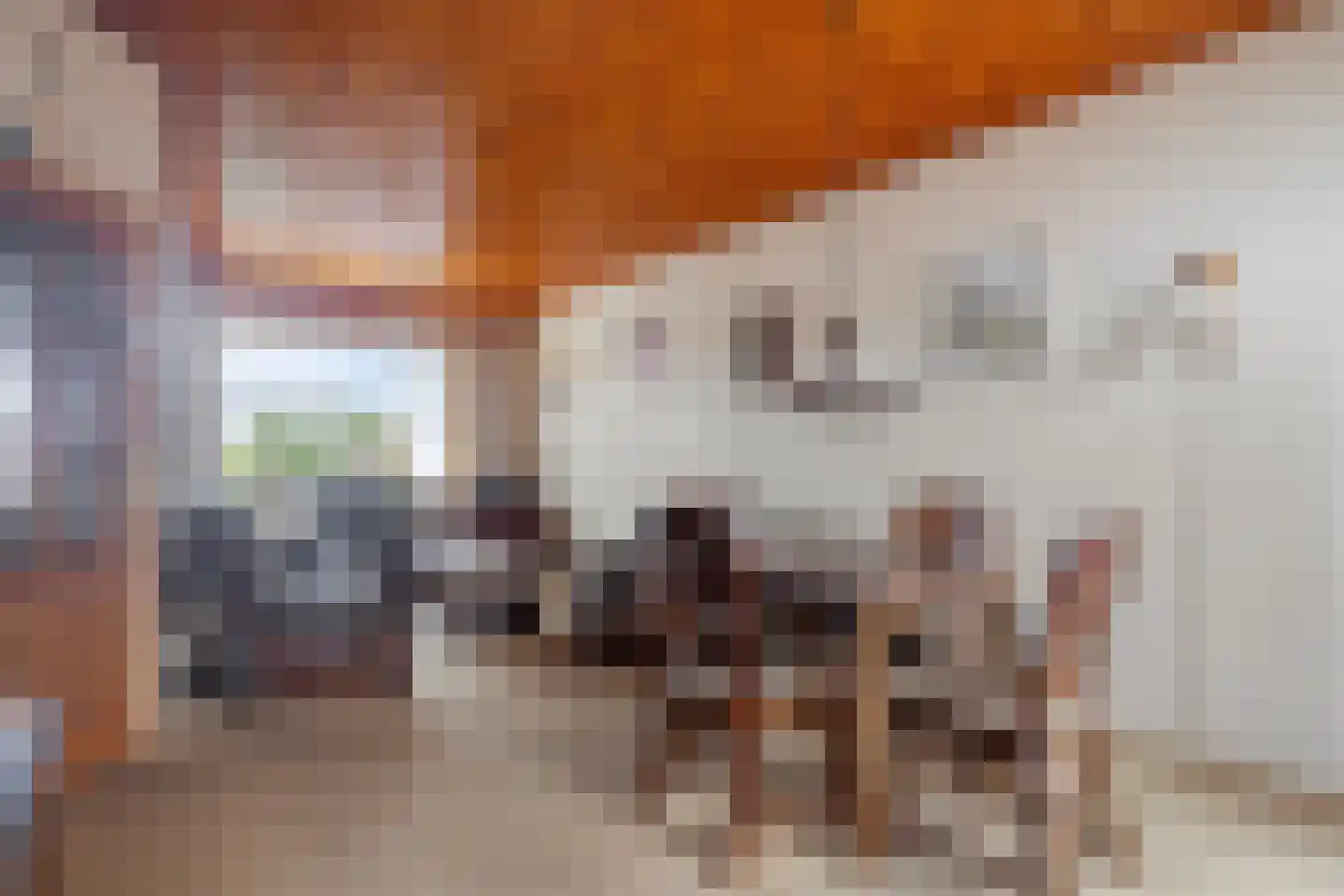 J.D. van Leeuwenstraat 20 Tiel thumbnail 8